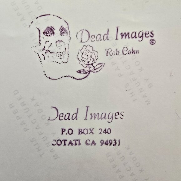 Grateful Dead Concert Photograph By Rob Cohn "Dead Images" 8"x10" Vintage 1980s - Picture 2 of 12